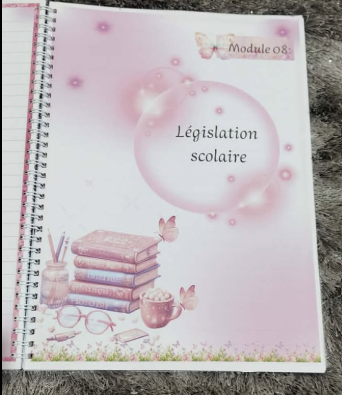 دفتر تكوين (لغة فرنسية ) - الصورة 3