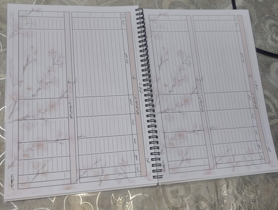 الدفتر اليومي (ابتدائي) - الصورة 7